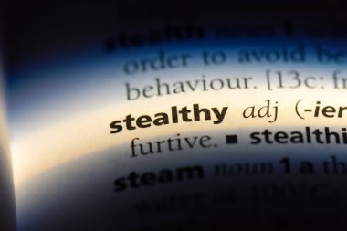 gizli kelime sözlüğe. gizli kavramı.