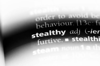 gizli kelime sözlüğe. gizli kavramı.