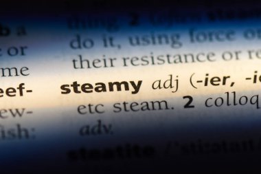 Buharlı tek kelimeyle bir sözlük. Buharlı kavramı.