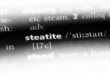 steatit Word'de bir sözlük. steatit kavramı.