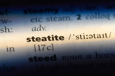 steatit Word'de bir sözlük. steatit kavramı.