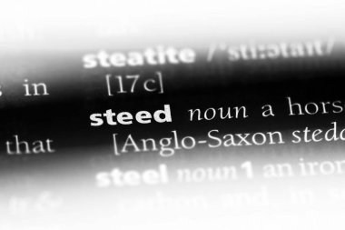 bir sözlüğü'ndeki at sözcüğü. at kavramı.