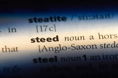 bir sözlüğü'ndeki at sözcüğü. at kavramı.