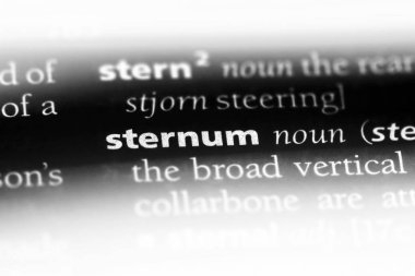 göğüs kemiği Word'de bir sözlük. göğüs kemiği kavramı.