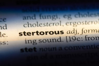 stertorous tek kelimeyle bir sözlük. stertorous kavramı.