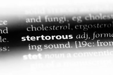 stertorous tek kelimeyle bir sözlük. stertorous kavramı.