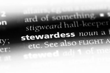 Hostes Word'de bir sözlük. Hostes kavramı.