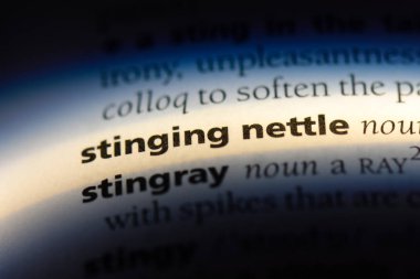 Isırgan otu Word'de bir sözlük. Isırgan otu kavramı.