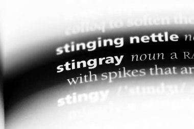 Stingray Word'de bir sözlük. Stingray konsept.
