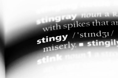 paragöz tek kelimeyle bir sözlük. paragöz kavramı.