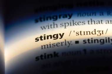 paragöz tek kelimeyle bir sözlük. paragöz kavramı.