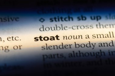 Gelincik Word'de bir sözlük. Gelincik kavramı.