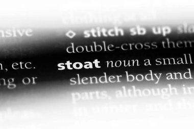 Gelincik Word'de bir sözlük. Gelincik kavramı.