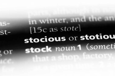 stocious sözcük sözlüğe. stocious kavramı.