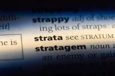 bir sözlüğü'ndeki tabakaları sözcüğü. tabakaları kavramı.