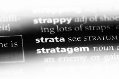 bir sözlüğü'ndeki tabakaları sözcüğü. tabakaları kavramı.