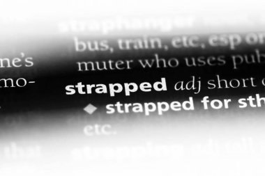 bir sözlüğü'ndeki sarılı sözcüğü. sarılı kavramı.