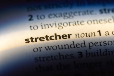 Sedye Word'de bir sözlük. Sedye kavramı.