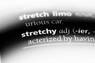 esnek tek kelimeyle bir sözlük. esnek kavramı.