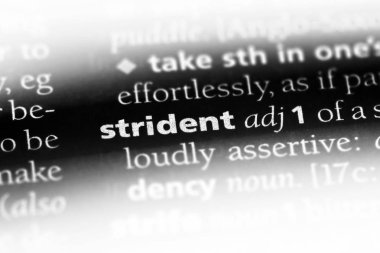 rahatsız edici sözcük sözlüğe. tiz kavramı.