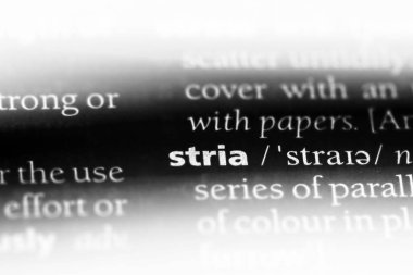 çizgiler Word'de bir sözlük. çizikleri kavramı.