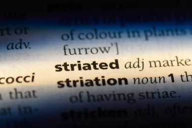 bir sözlüğü'ndeki çizgili sözcüğü. çizgili kavramı.