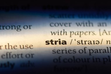 çizgiler Word'de bir sözlük. çizikleri kavramı.