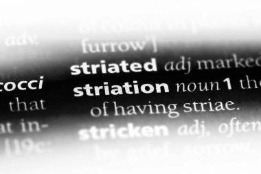 striation sözcük sözlüğe. striation kavramı.
