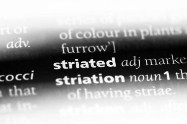 bir sözlüğü'ndeki çizgili sözcüğü. çizgili kavramı.