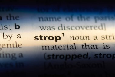 bir sözlüğü'ndeki sözcüğü kayış. kayış kavramı.