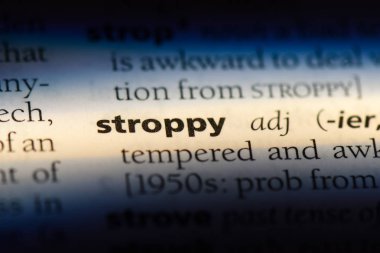 acımasız tek kelimeyle bir sözlük. küstah kavramı.