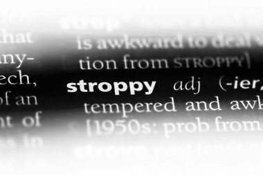 acımasız tek kelimeyle bir sözlük. küstah kavramı.