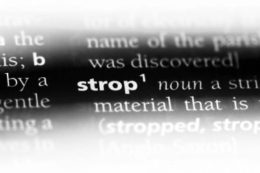 bir sözlüğü'ndeki sözcüğü kayış. kayış kavramı.