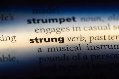 bir sözlüğü'ndeki sözcüğü sinirli. sinirli kavramı.