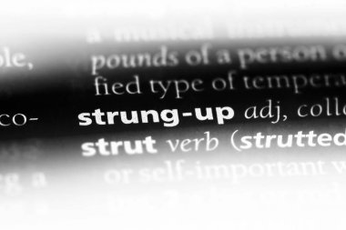 sözcüğü sözlüğe sinirli. kavram sinirli.