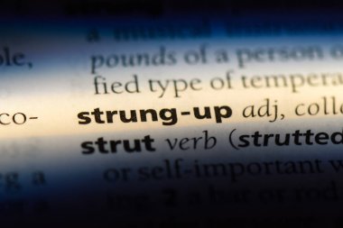 sözcüğü sözlüğe sinirli. kavram sinirli.