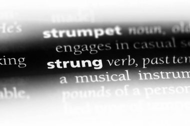 bir sözlüğü'ndeki sözcüğü sinirli. sinirli kavramı.