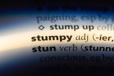 Stumpy tek kelimeyle bir sözlük. Stumpy kavramı.