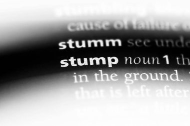 bir sözlüğü'ndeki sözcüğü stump. güdük kavramı.