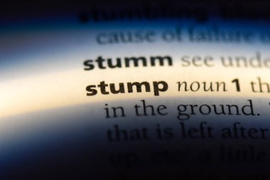 bir sözlüğü'ndeki sözcüğü stump. güdük kavramı.