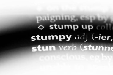 Stumpy tek kelimeyle bir sözlük. Stumpy kavramı.