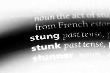 sokulan sözcük sözlüğe. arı kavramı.