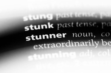 Sazòn 'un hatunu harika bir sözlük tek kelimeyle. Sazòn 'un hatunu harika kavramı.