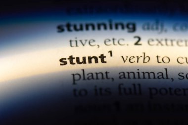 bir sözlüğü'ndeki sözcüğü dublör. dublör kavramı.