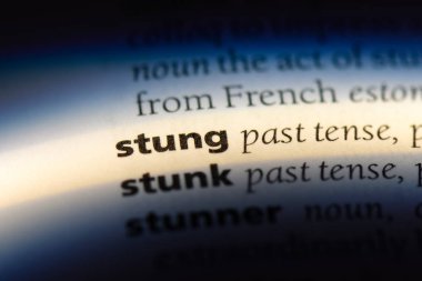 sokulan sözcük sözlüğe. arı kavramı.