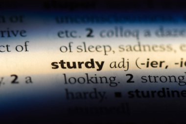 sağlam tek kelimeyle bir sözlük. sağlam kavramı.