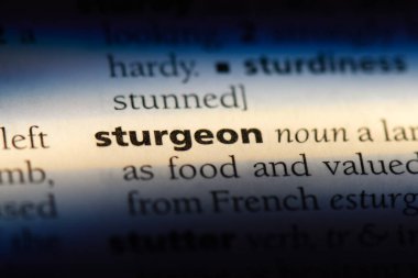 Mersin balığı Word'de bir sözlük. Mersin balığı kavramı.