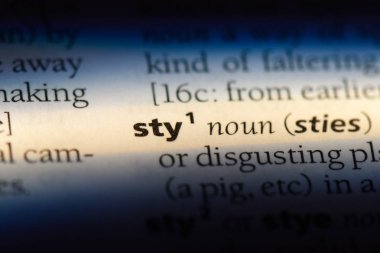 STY Word'de bir sözlük. STY kavramı.