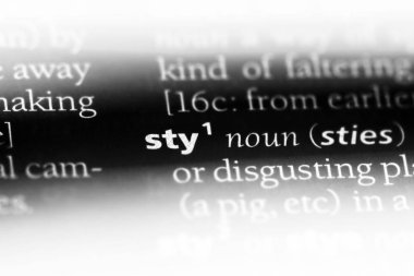 STY Word'de bir sözlük. STY kavramı.