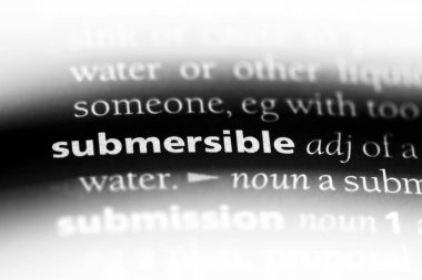 dalgıç tek kelimeyle bir sözlük. dalgıç kavramı.